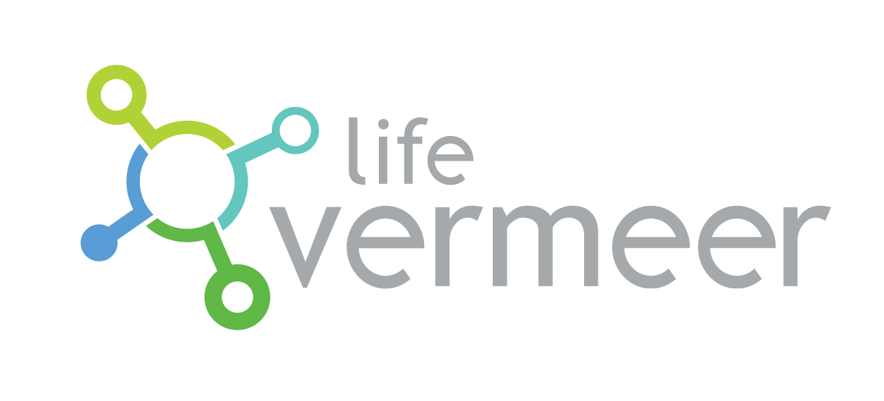 LifeVermeer-Logotype